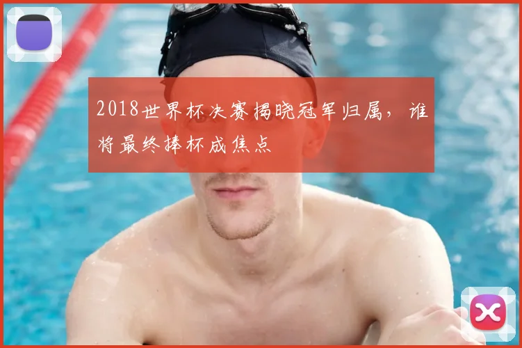 2018世界杯决赛揭晓冠军归属,谁将最终捧杯成焦点
