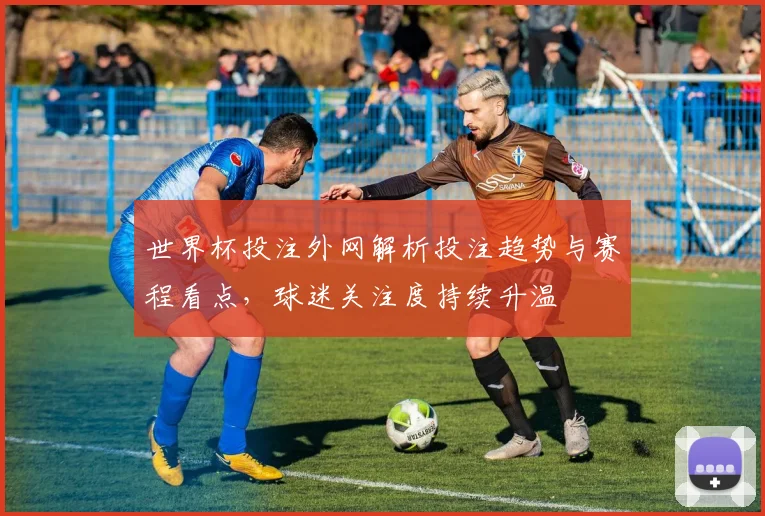 世界杯投注外网解析投注趋势与赛程看点,球迷关注度持续升温