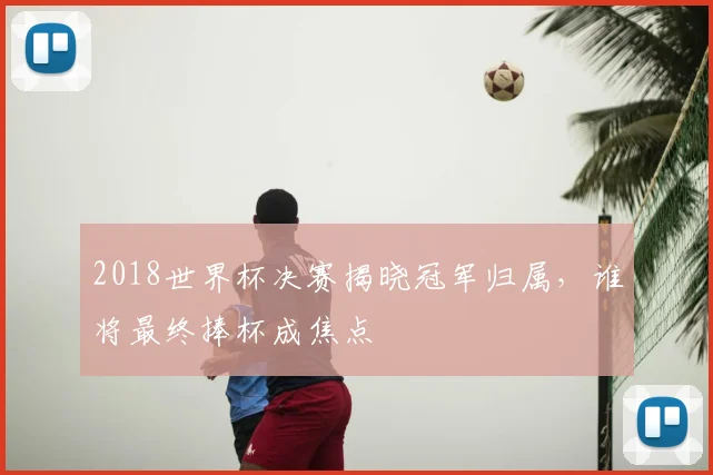 2018世界杯决赛揭晓冠军归属,谁将最终捧杯成焦点