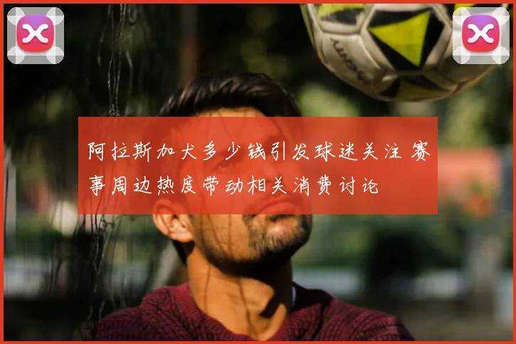 阿拉斯加犬多少钱引发球迷关注 赛事周边热度带动相关消费讨论
