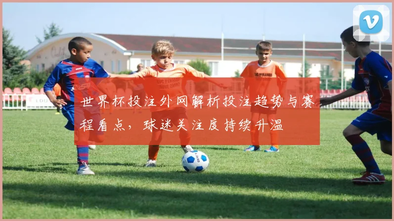 世界杯投注外网解析投注趋势与赛程看点,球迷关注度持续升温