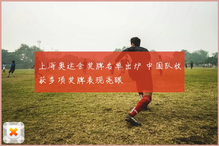 上海奥运会奖牌名单出炉 中国队收获多项奖牌表现亮眼