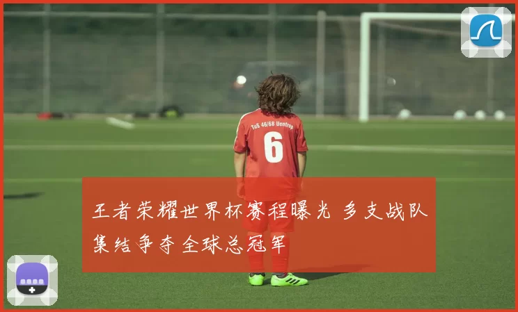 王者荣耀世界杯赛程曝光 多支战队集结争夺全球总冠军