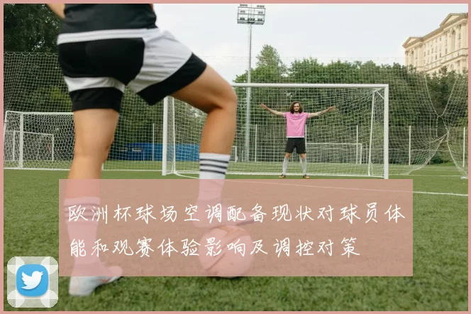 欧洲杯球场空调配备现状对球员体能和观赛体验影响及调控对策