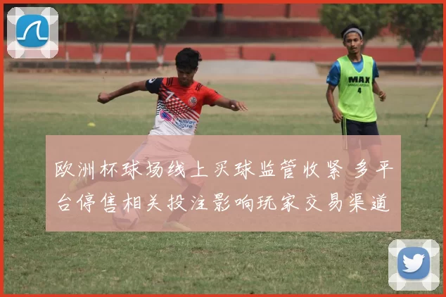 欧洲杯球场线上买球监管收紧 多平台停售相关投注影响玩家交易渠道